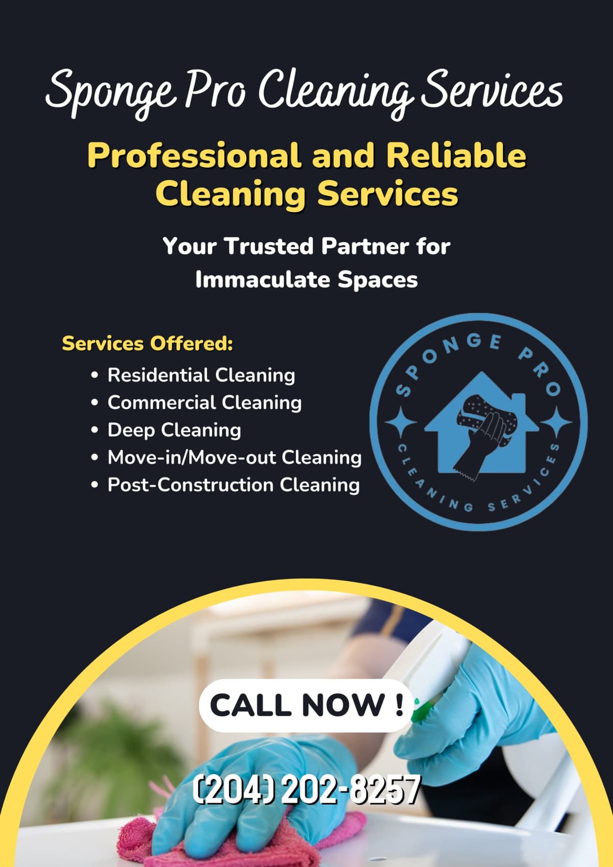 Sponge Pro Cleaning Services